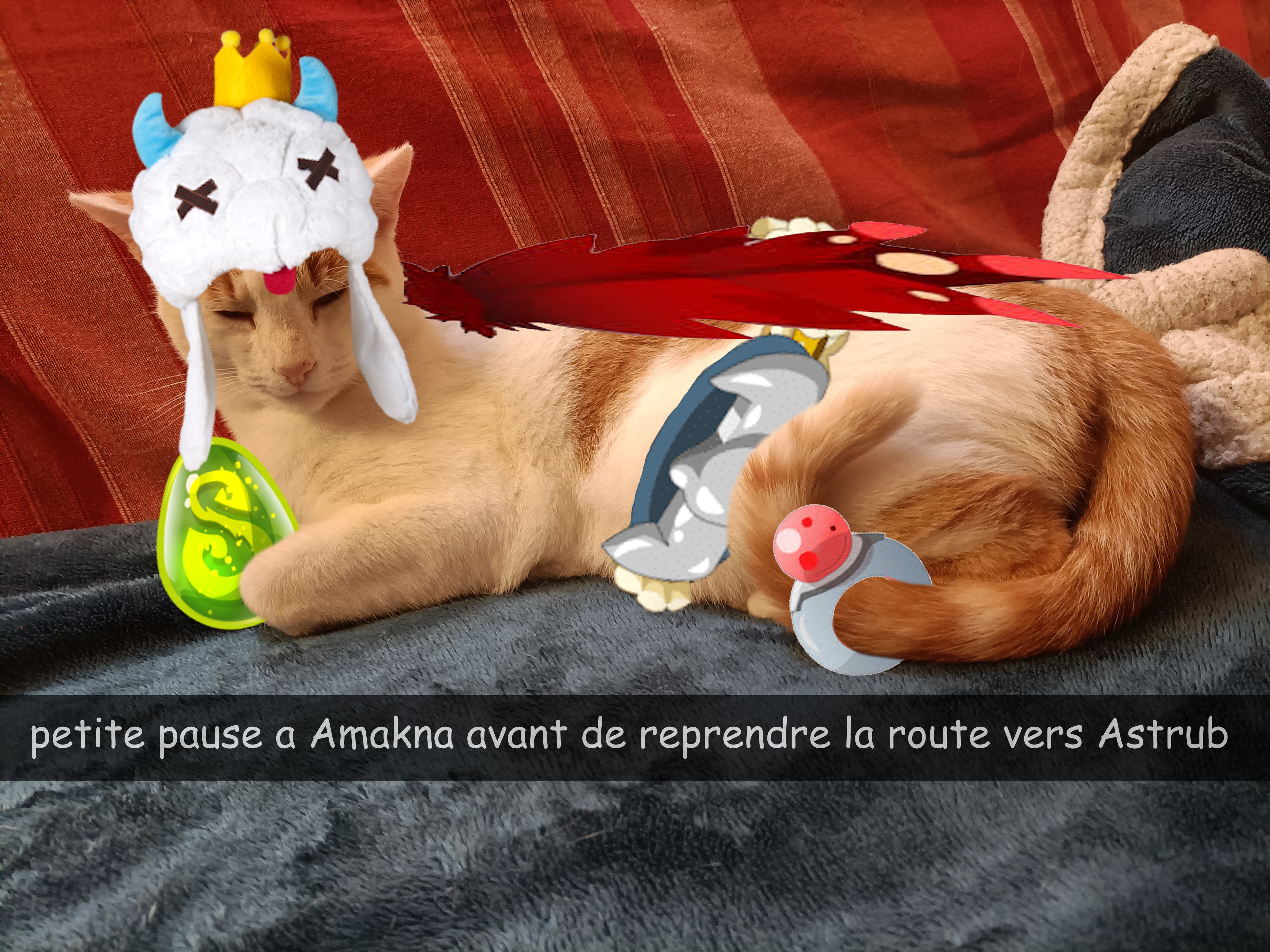 dofus