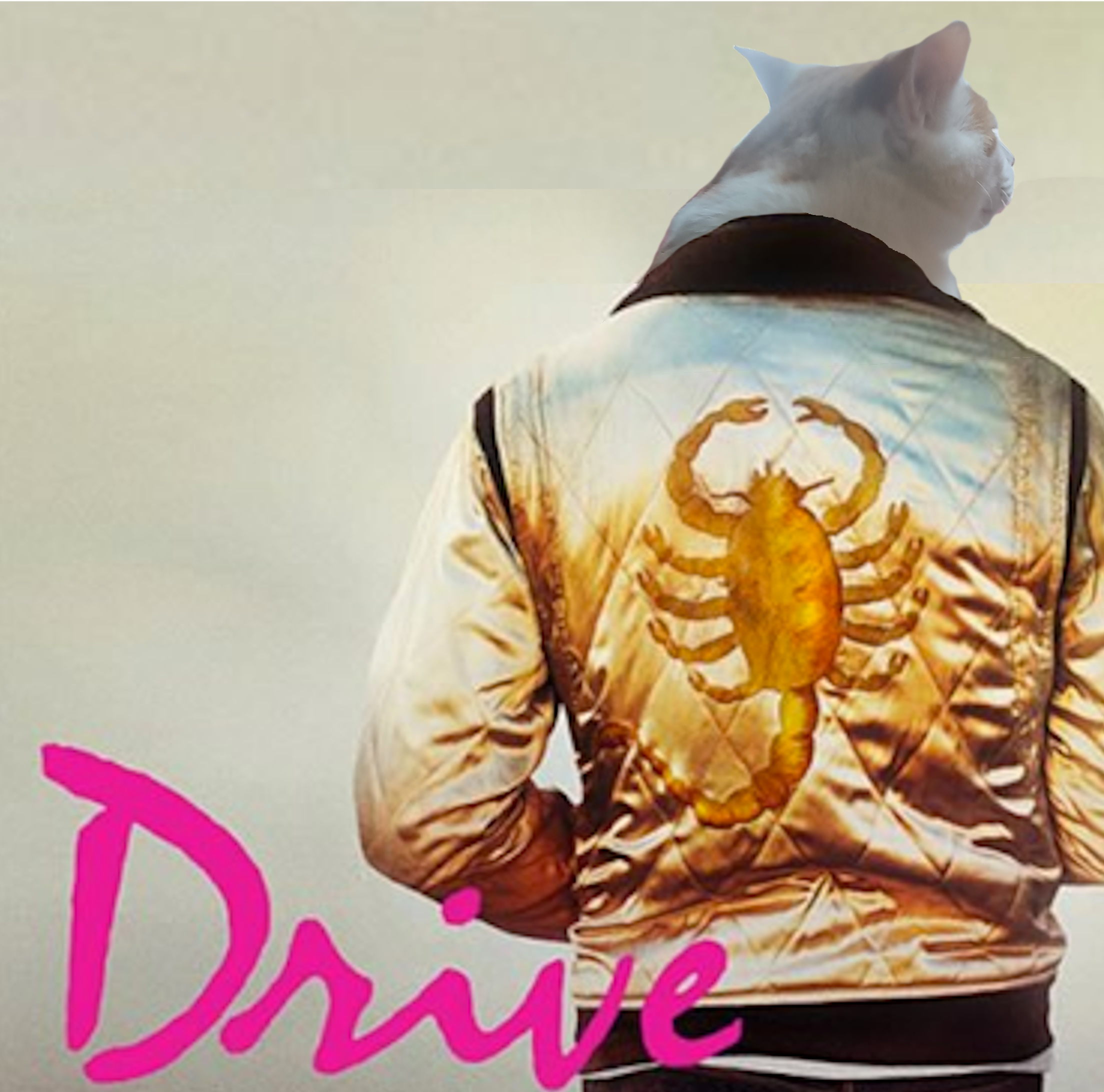 drivechat