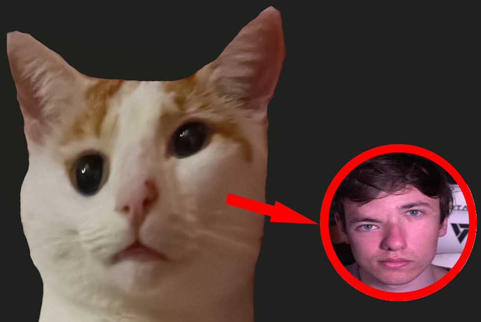 sardoche le chat